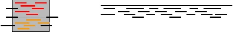 Figure 6. An assembler incorrectly merged together the reads belonging to the two copies of the repeat into a single contig (left), leaving the rest of the sequence in an un-related contig (right).