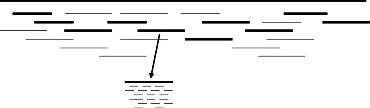 Figure 10: Hierarchical sequencing of a genome. The fragments are fragmented further, then assembly is first applied to each individual fragment then the resulting contigs are assembled to build the genome sequence.