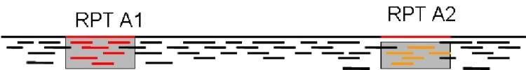 Figure 5. Two copies of a repeat shown as gray boxes and red and orange colors. The reads found in one copy could also be placed in the other.